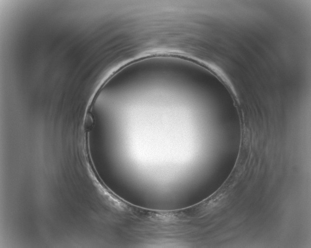 X0000059050911200510101008