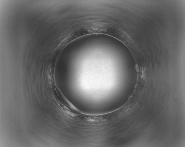 X0000059050915200510101008
