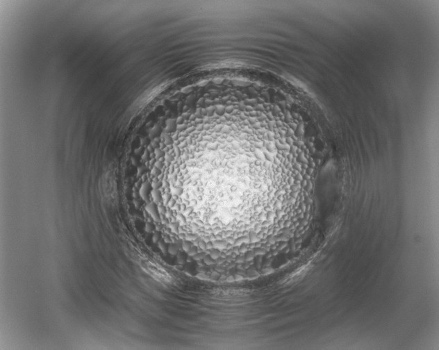 X0000059050921200510101008