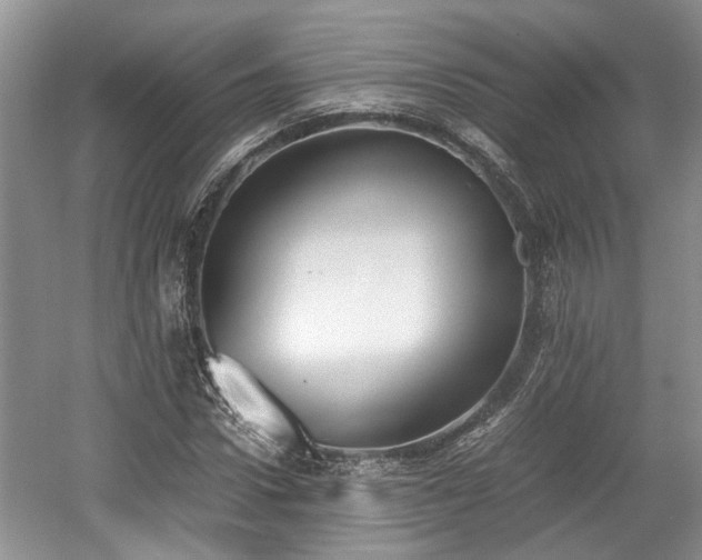 X0000059050922200510101008