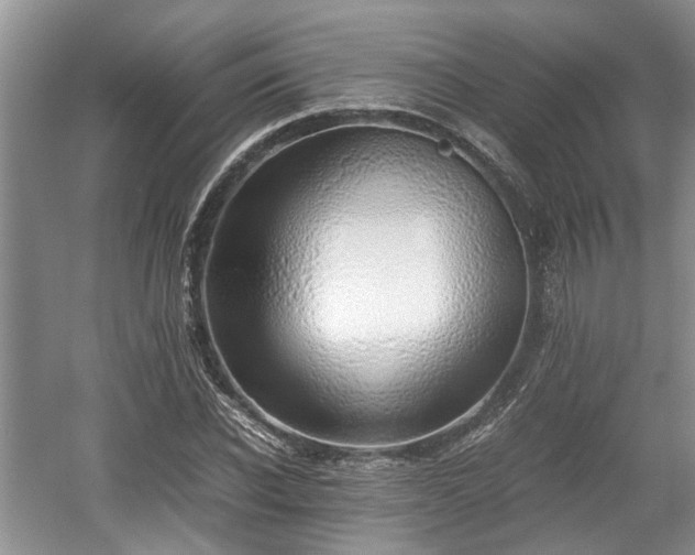 X0000059050926200510101008