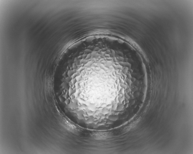 X0000059050953200510101008