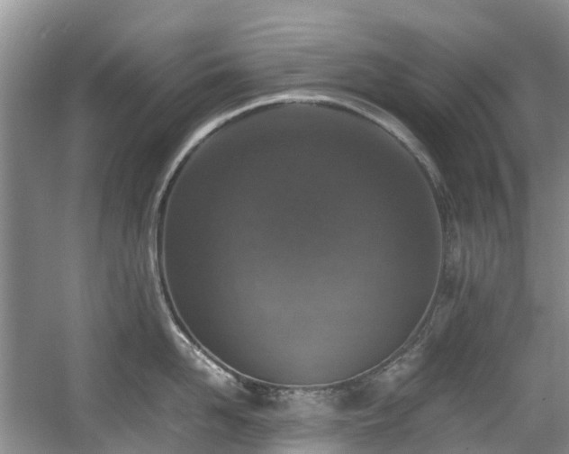 X0000059050958200510101008