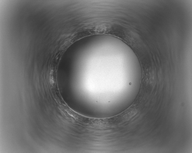 X0000059050962200510101008