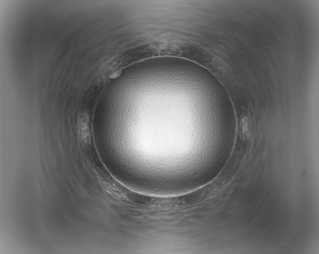 X0000059050963200510101007