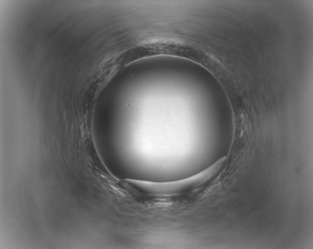 X0000059050965200510101007