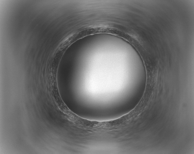 X0000059050967200510101007