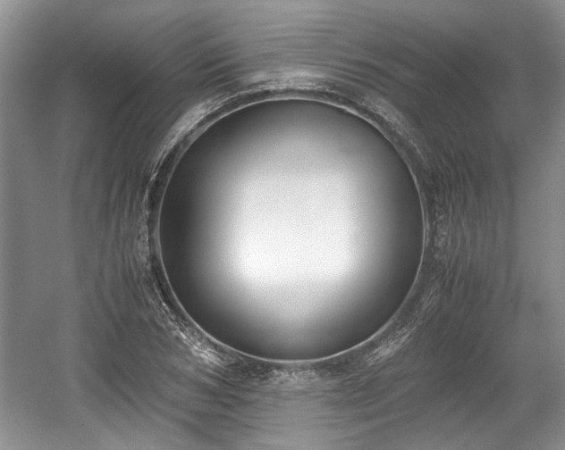 X0000059050978200510101007