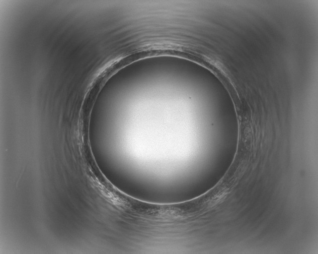 X0000059050979200510101007