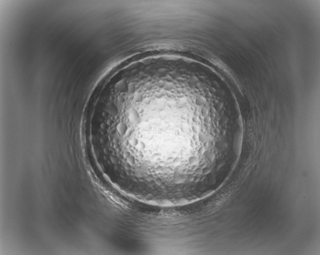 X0000059050983200510101007
