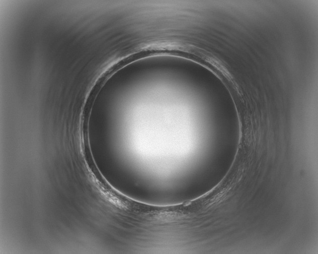 X0000059050984200510101007