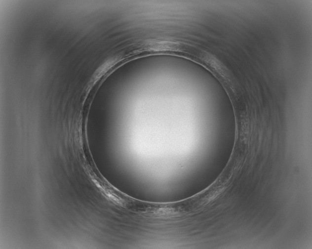X0000059050986200510101007