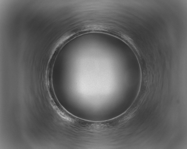 X0000059050987200510101007
