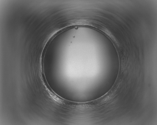 X0000059050988200510101007