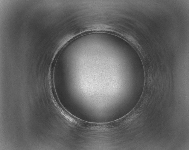 X0000059050990200510101007