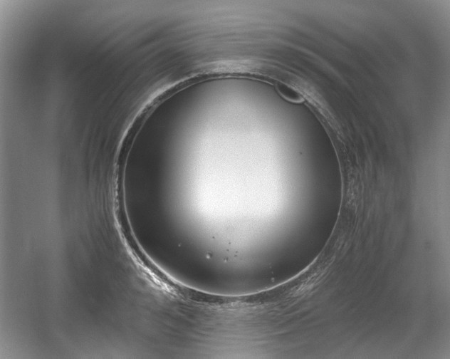 X0000059050992200510101007