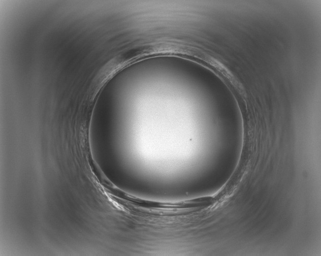 X0000059050993200510101007