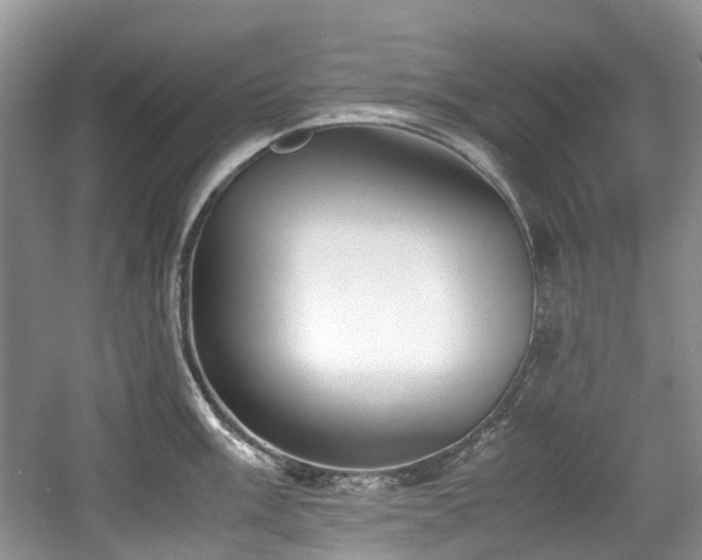 X0000059051003200510101007
