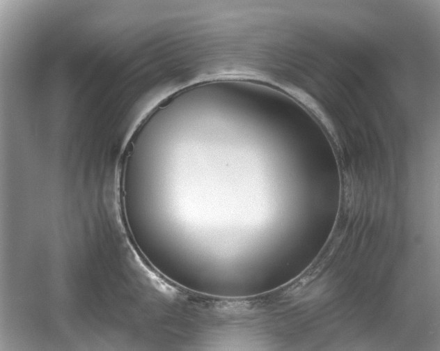 X0000059051006200510101007