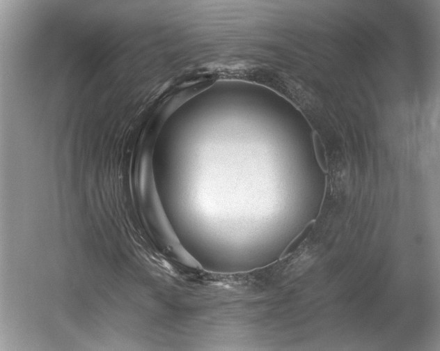 X0000059051010200510101006
