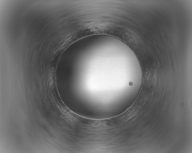 X0000059051012200510101006