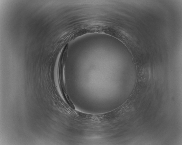 X0000059051013200510101006