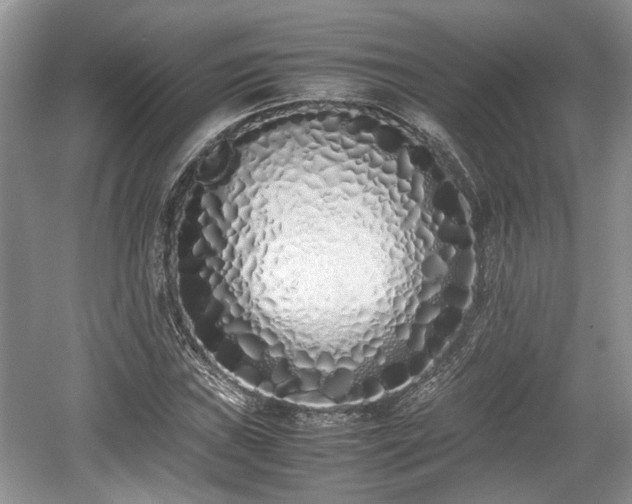 X0000059051019200510101006
