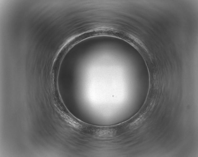 X0000059051021200510101006