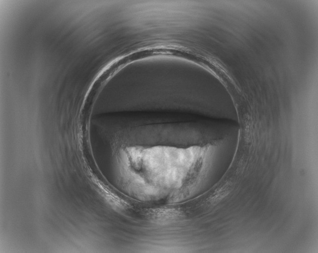 X0000059051024200510101006