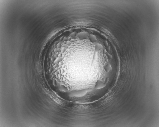 X0000059051027200510101006