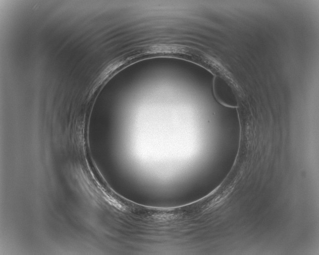 X0000059051033200510101006