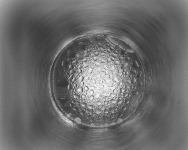 X0000059051055200510101007