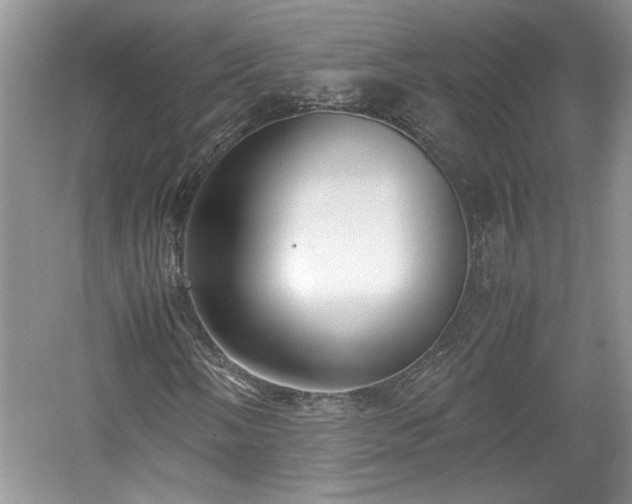 X0000059051058200510101006