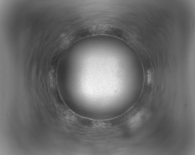 X0000059051059200510101006