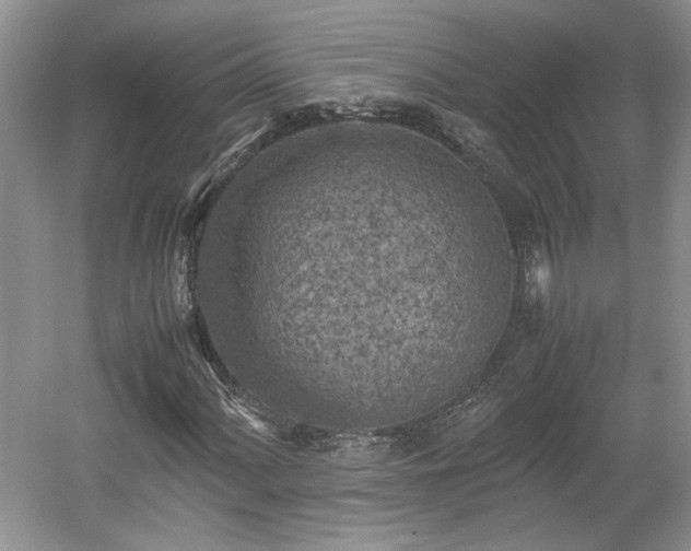 X0000059051060200510101006
