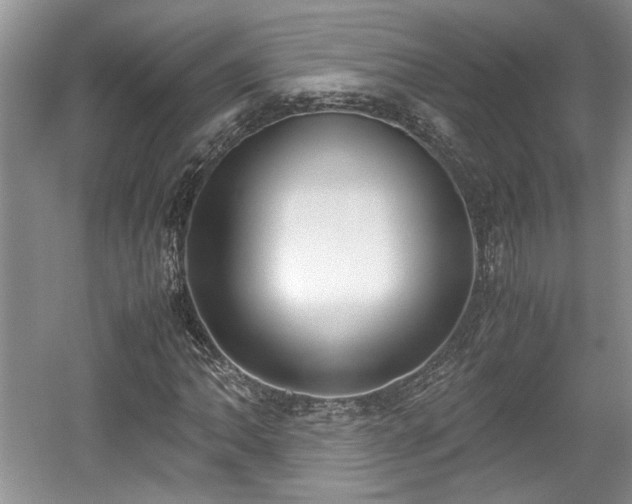 X0000059051062200510101006