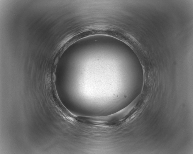 X0000059051065200510101006