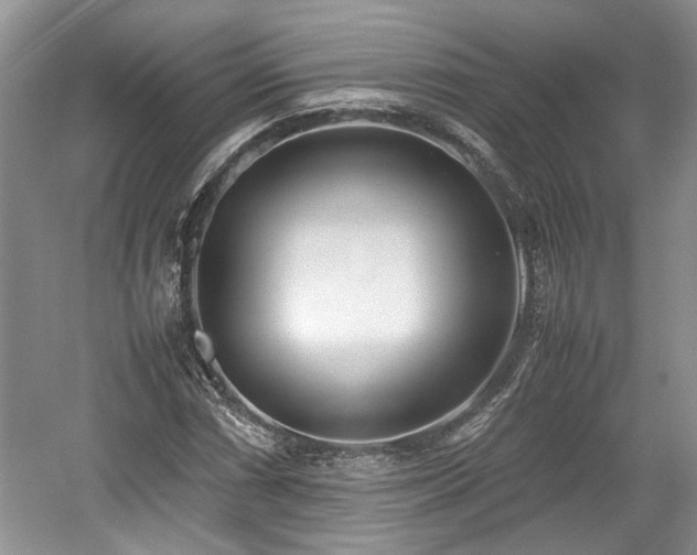 X0000059051066200510101006