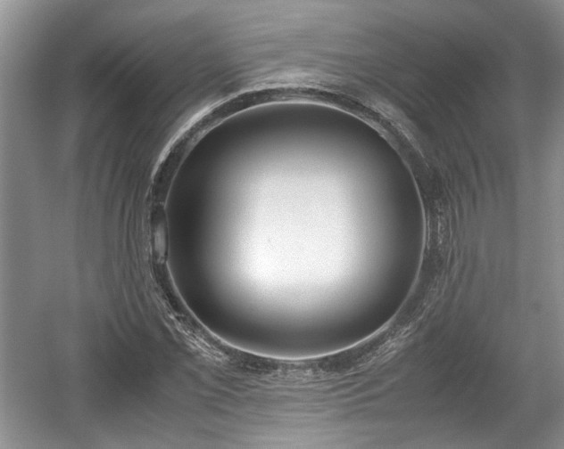 X0000059051069200510101006
