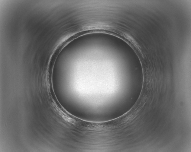 X0000059051072200510101006