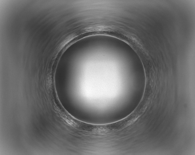 X0000059051073200510101006