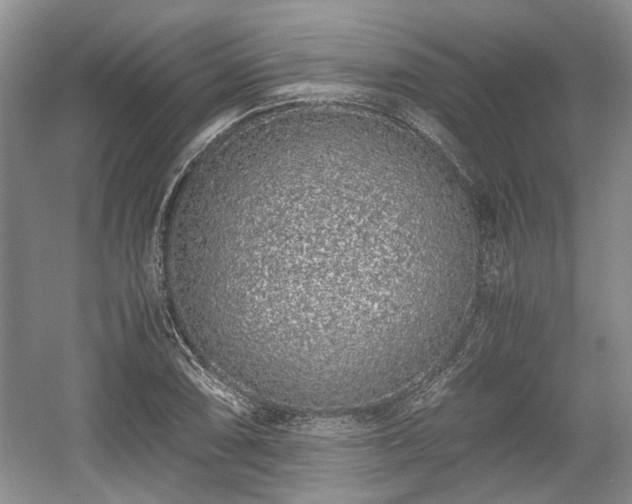 X0000059051074200510101006