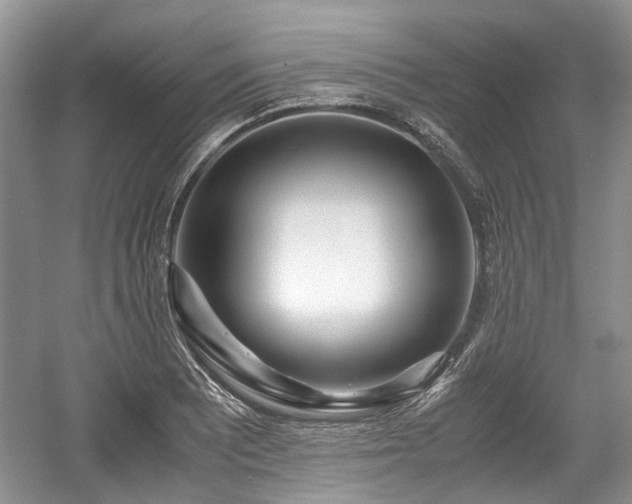 X0000059051081200510101005