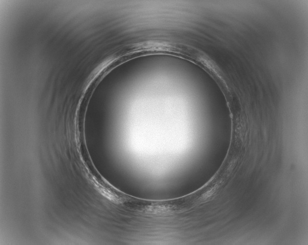 X0000059051082200510101005