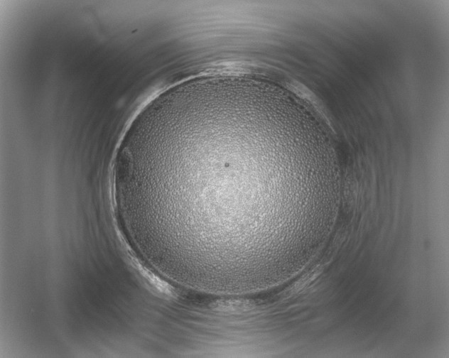 X0000059051083200510101005