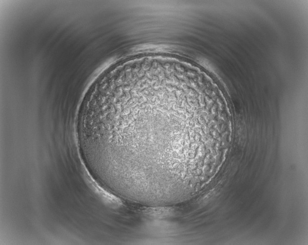 X0000059051090200510101005