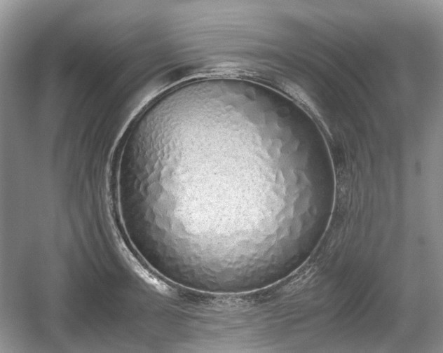 X0000059051091200510101005