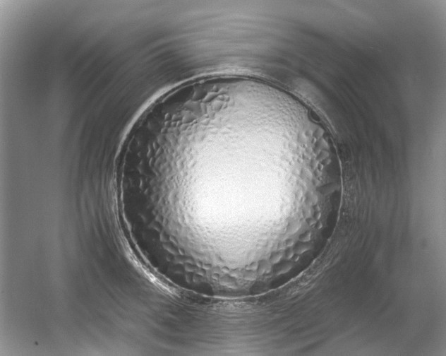 X0000059051092200510101005