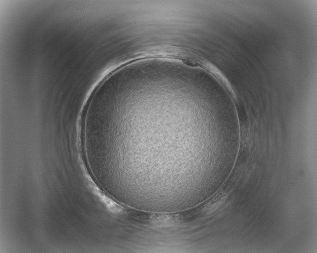 X0000059051099200510101005