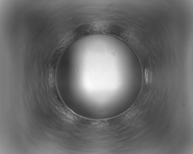 X0000059051107200510101004